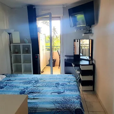 Apartment Beau T1 Piscine Tennis Cannes